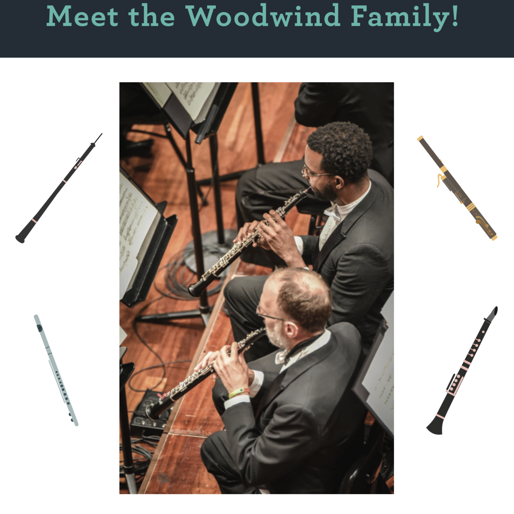 woodwind family